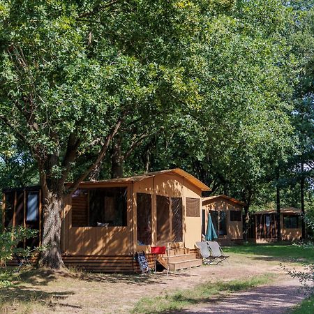 Huttopia de Roos Stegeren Esterno foto
