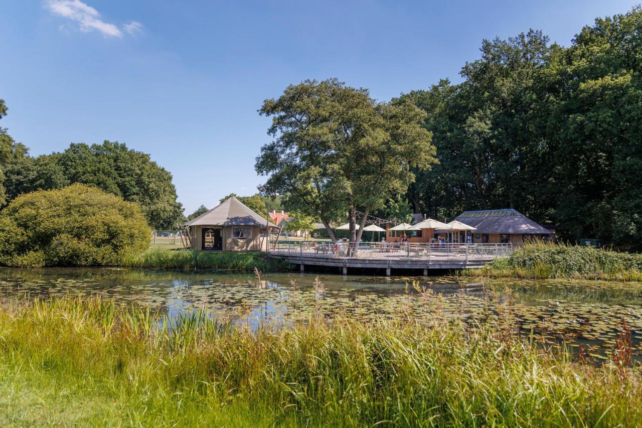 Huttopia de Roos Stegeren Esterno foto