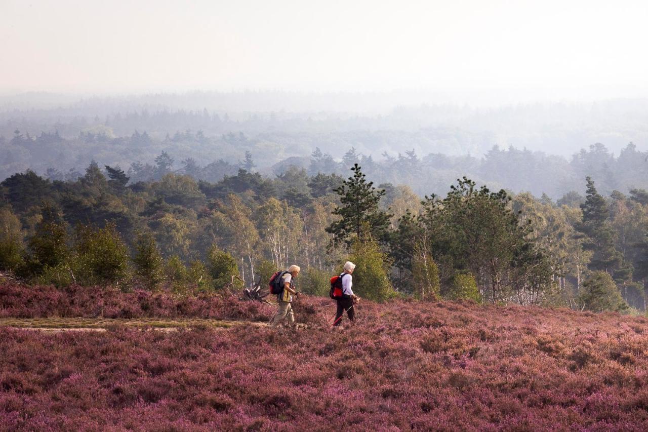 Huttopia de Roos Stegeren Esterno foto