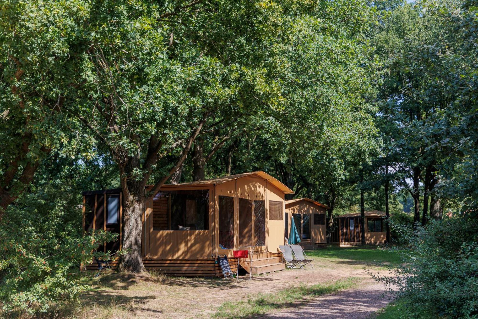Huttopia de Roos Stegeren Esterno foto
